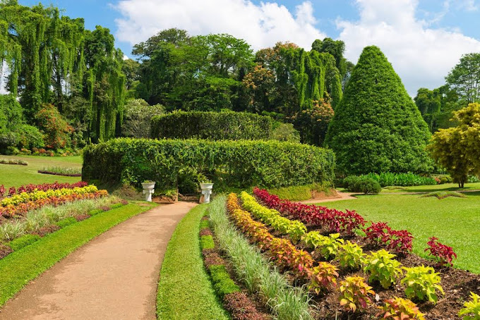 Peradeniya Royal Botanical Gardens